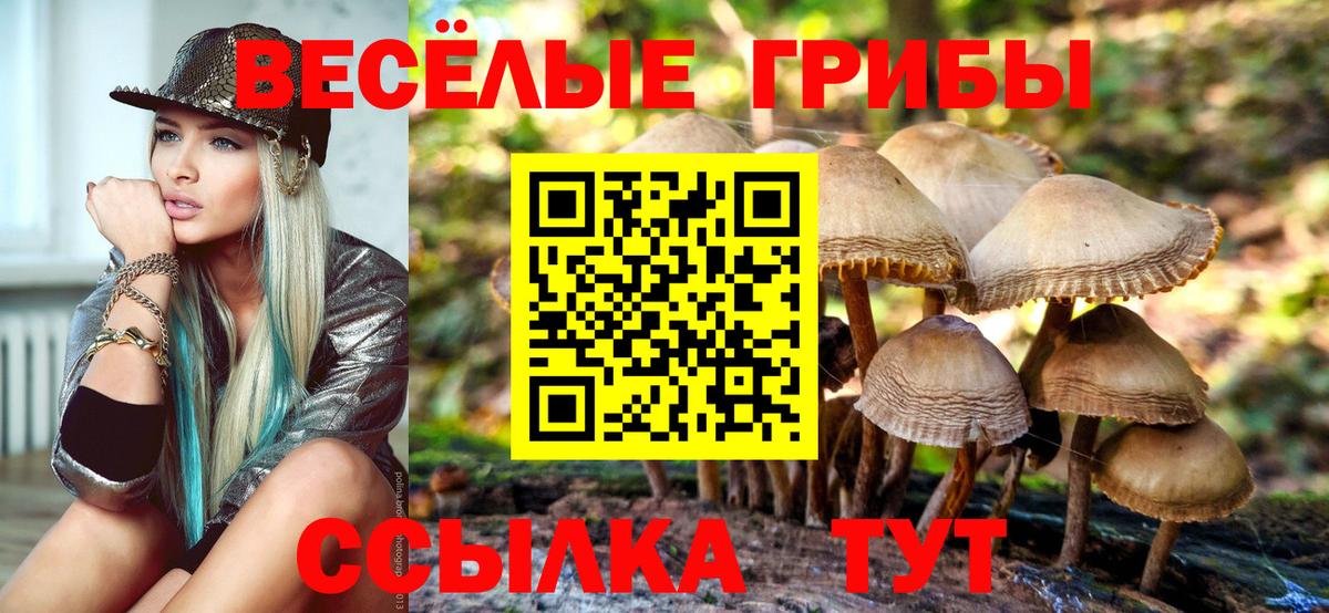 Новошахтинск  как найти закладки  Вход с VPN  Галлюциногенные грибы GOLDEN TEACHER 